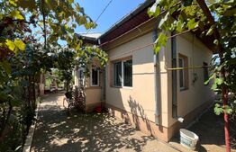 Proprietate formata din doua case si 1087 mp teren, zona Carcea 
