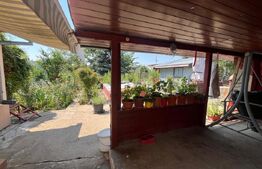 Proprietate formata din doua case si 1087 mp teren, zona Carcea 