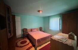 Proprietate formata din doua case si 1087 mp teren, zona Carcea 