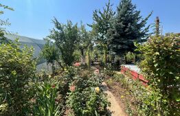 Proprietate formata din doua case si 1087 mp teren, zona Carcea 