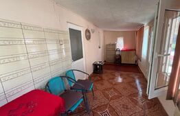 Proprietate formata din doua case si 1087 mp teren, zona Carcea 