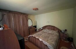 Proprietate formata din doua case si 1087 mp teren, zona Carcea 