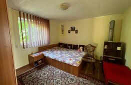 Proprietate formata din doua case si 1087 mp teren, zona Carcea 