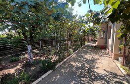 Proprietate formata din doua case si 1087 mp teren, zona Carcea 