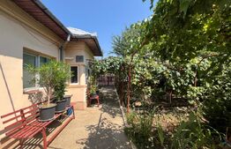 Proprietate formata din doua case si 1087 mp teren, zona Carcea 