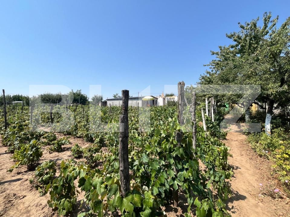 Casa de vânzare 4 camere Exterior Est - 174745CV | BLITZ Craiova | Poza5