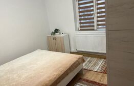 Apartament 2 camere, decomandat, 55 mp, zona Rovine.