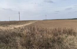 Teren extravilan 5000mp, Malu Mare, 0 comision la cumparator
