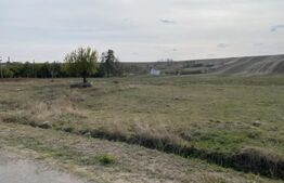 Teren extravilan 5000mp, Malu Mare, 0 comision la cumparator