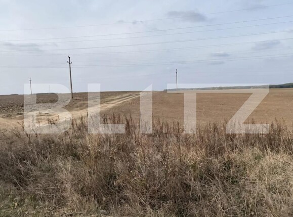 Teren de vânzare Malu Mare - 174764TV | BLITZ Craiova | Poza1