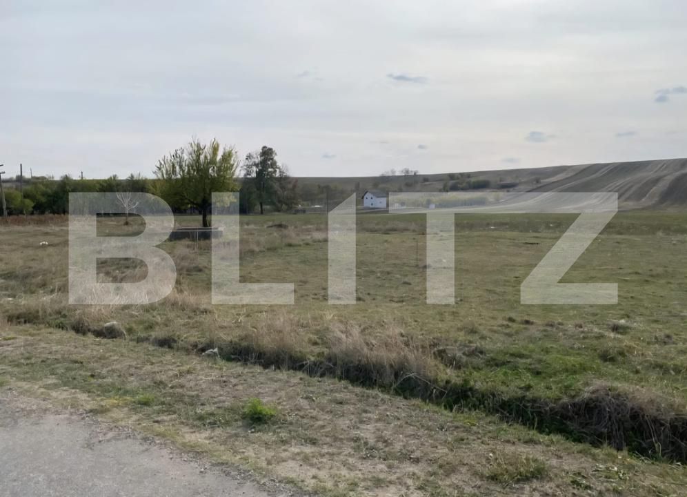 Teren de vânzare Malu Mare - 174764TV | BLITZ Craiova | Poza2