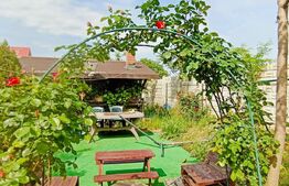 Casa structura de lemn, 95mp, Malu Mare sat, teren 944mp COMISION 0 achizitie