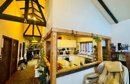 Casa structura de lemn, 95mp, Malu Mare sat, teren 944mp COMISION 0 achizitie