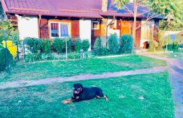 Casa structura de lemn, 95mp, Malu Mare sat, teren 944mp COMISION 0 achizitie