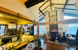 Casa structura de lemn, 95mp, Malu Mare sat, teren 944mp COMISION 0 achizitie