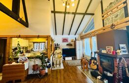 Casa structura de lemn, 95mp, Malu Mare sat, teren 944mp COMISION 0 achizitie