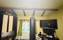 Casa structura de lemn, 95mp, Malu Mare sat, teren 944mp COMISION 0 achizitie