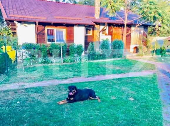 Casa de vânzare 3 camere Exterior Sud - 174993CV | BLITZ Craiova | Poza18