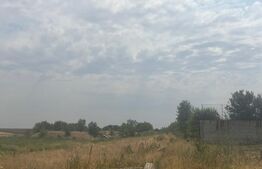 Teren extravilan 5000 mp, zona Pielesti