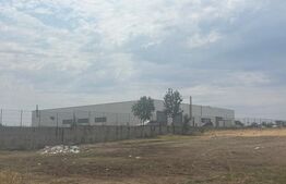 Teren extravilan 5000 mp, zona Pielesti