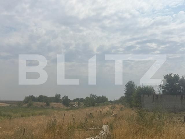Teren de vânzare Pielești - 175033TV | BLITZ Craiova | Poza2