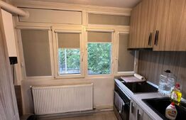 Apartament 3 camere, decomandat, zona Rovine-Damarin