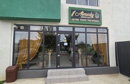 Spatiu Comercial, 56 mp, Zona Damila