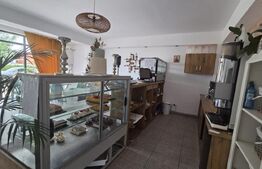 Spatiu Comercial, 56 mp, Zona Damila