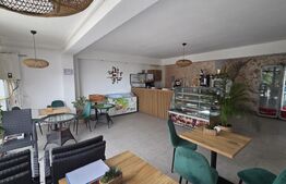 Spatiu Comercial, 56 mp, Zona Damila