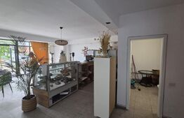 Spatiu Comercial, 56 mp, Zona Damila