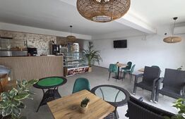 Spatiu Comercial, 56 mp, Zona Damila