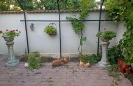 Casa P Malu Mare, 469 mp teren, 200 utili, zona Primariei