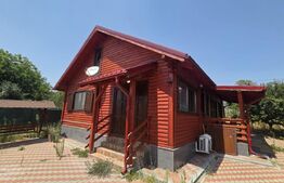 Casa de vacanca cu potential turistic, 1603 mp teren, Cernatesti