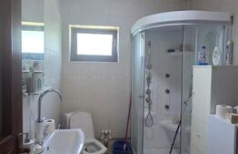 Casa de vacanca cu potential turistic, 1603 mp teren, Cernatesti