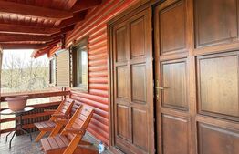 Casa de vacanta cu potential turistic, 1603 mp teren, Cernatesti