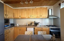 Casa de vacanca cu potential turistic, 1603 mp teren, Cernatesti