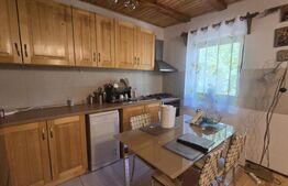 Casa de vacanca cu potential turistic, 1603 mp teren, Cernatesti