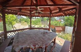 Casa de vacanca cu potential turistic, 1603 mp teren, Cernatesti