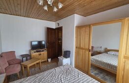 Casa de vacanca cu potential turistic, 1603 mp teren, Cernatesti