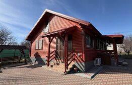Casa de vacanta cu potential turistic, 1603 mp teren, Cernatesti