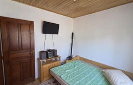 Casa de vacanca cu potential turistic, 1603 mp teren, Cernatesti