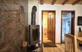 Casa de vacanca cu potential turistic, 1603 mp teren, Cernatesti