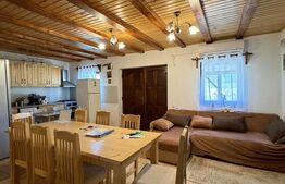 Casa de vacanta cu potential turistic, 1603 mp teren, Cernatesti