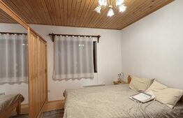 Casa de vacanca cu potential turistic, 1603 mp teren, Cernatesti