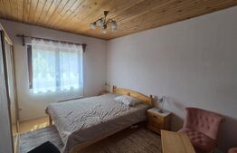 Casa de vacanca cu potential turistic, 1603 mp teren, Cernatesti