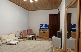 Casa de vacanca cu potential turistic, 1603 mp teren, Cernatesti