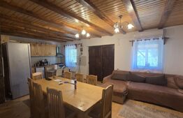 Casa de vacanca cu potential turistic, 1603 mp teren, Cernatesti