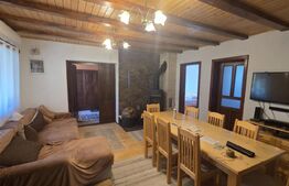 Casa de vacanca cu potential turistic, 1603 mp teren, Cernatesti