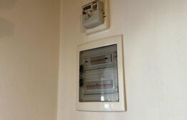 Casa de vacanca cu potential turistic, 1603 mp teren, Cernatesti