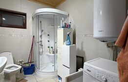 Casa de vacanta cu potential turistic, 1603 mp teren, Cernatesti